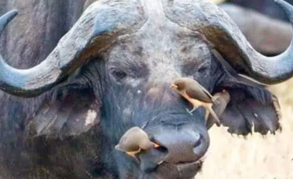 f8f734197b1f6d206139cc55f8e19640.png f8f734197b1f6d206139cc55f8e19640.png